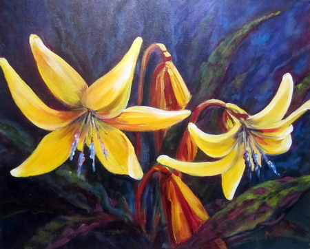 Daylily