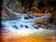 "River Run"  oil  30x40  $800