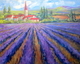 Lavender Fields