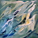"In Flight" acry  24x24   $400